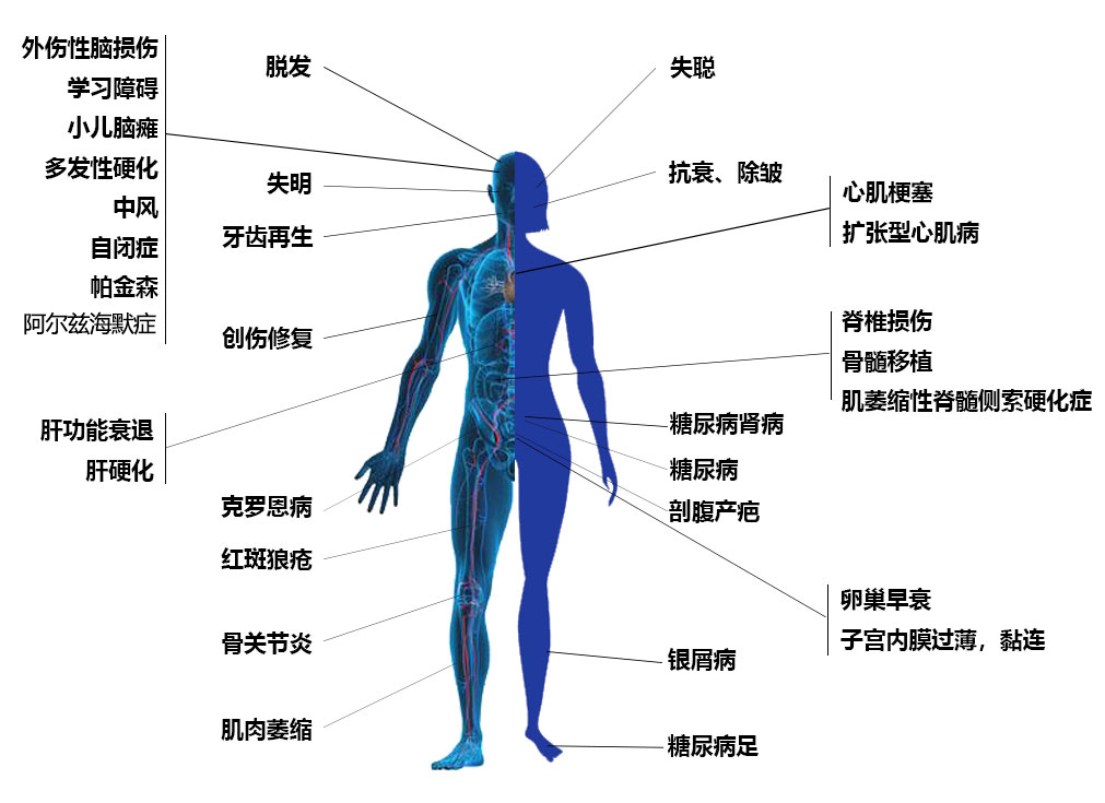 男女疾病的圖2.jpg